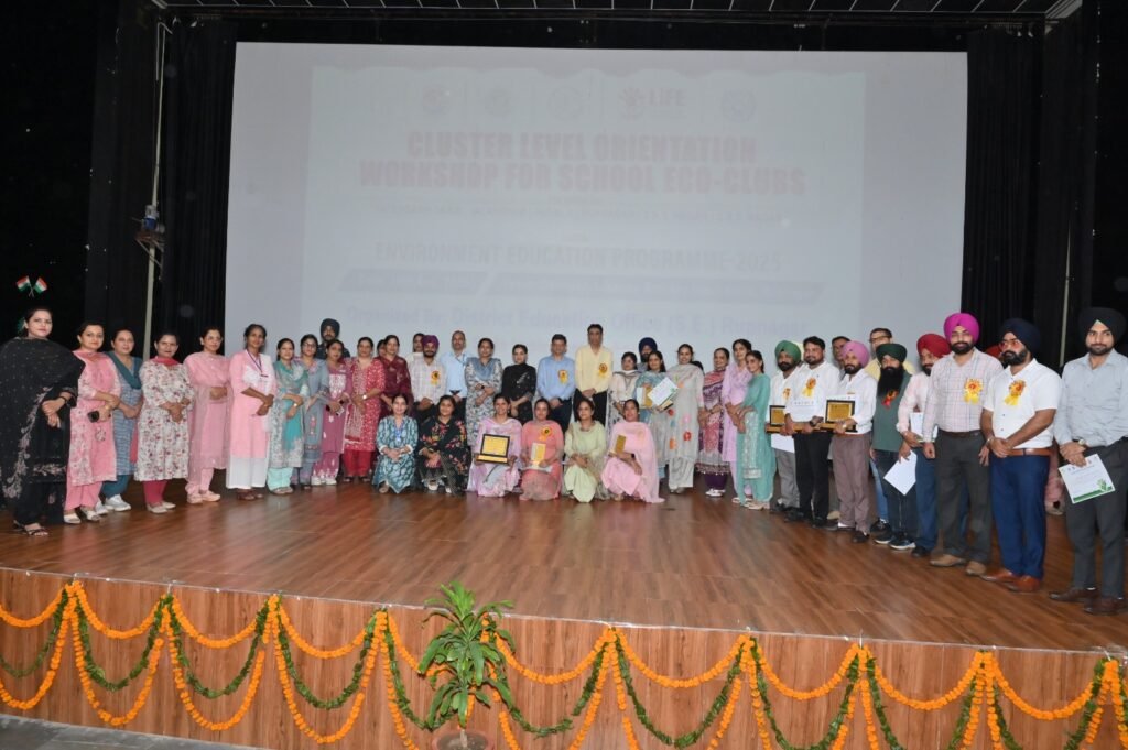 Cluster Level Workshop