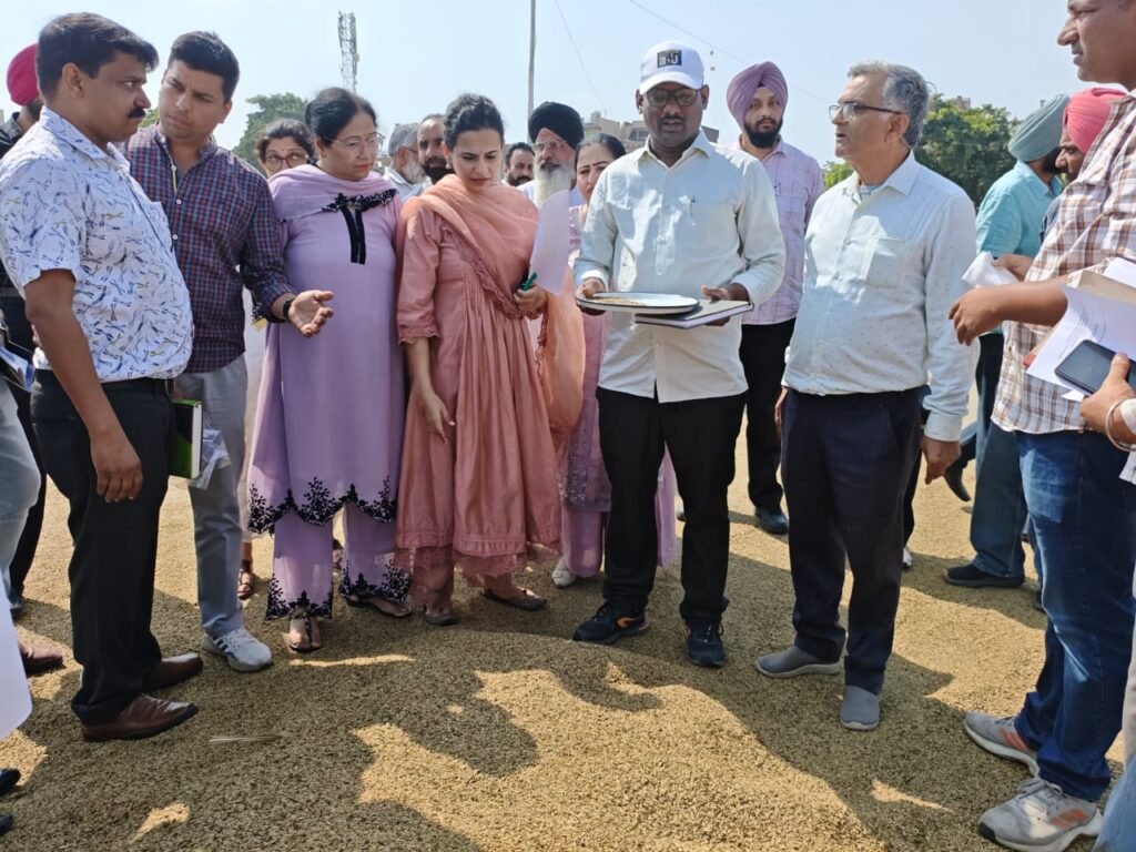 The team sent by the Ministry of Food Distribution collected 11 test samples from the district's mandis