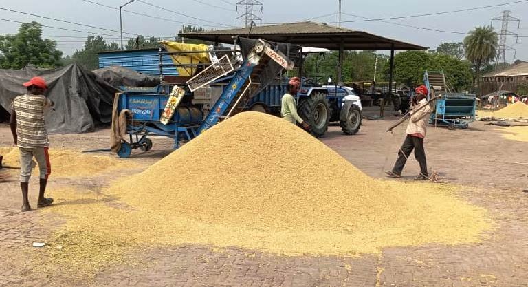 Farmers' crops will be purchased in the shortest possible time, payment will also be made within the stipulated time limit