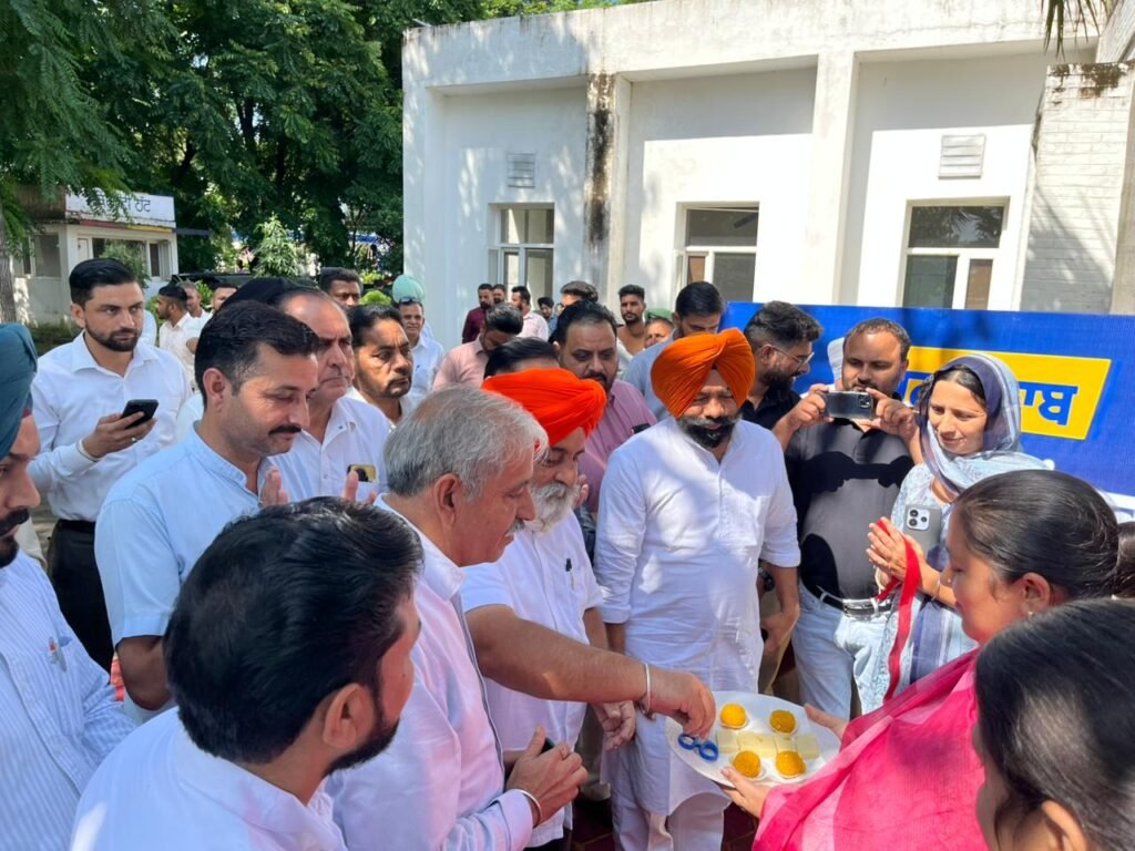 8 crores to be spent in Mandal Sri Anandpur Sahib to ensure uninterrupted power supply