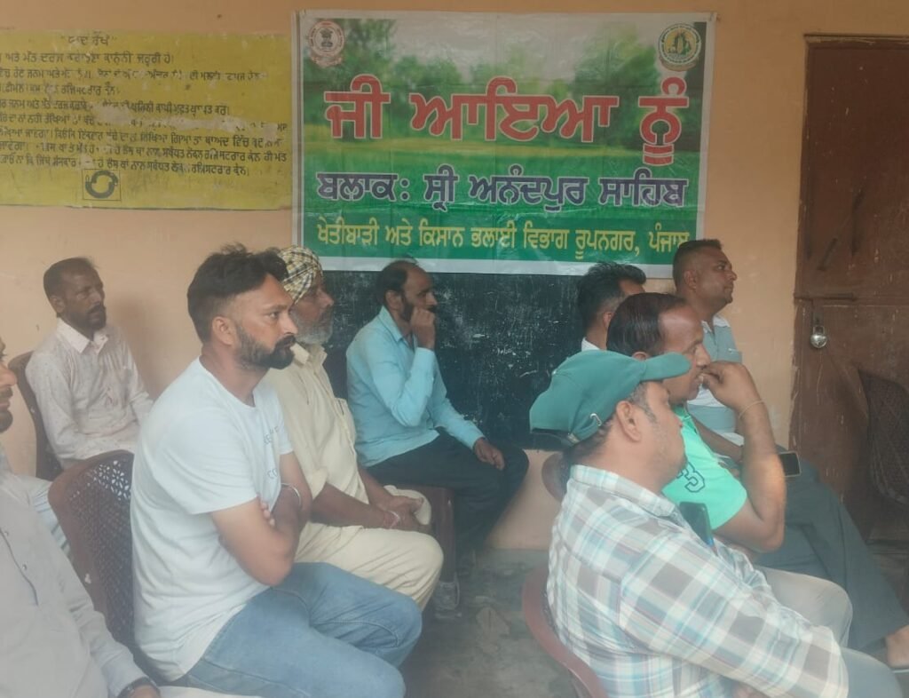 Burning of paddy stubble pollutes the environment - Jaspreet Singh 