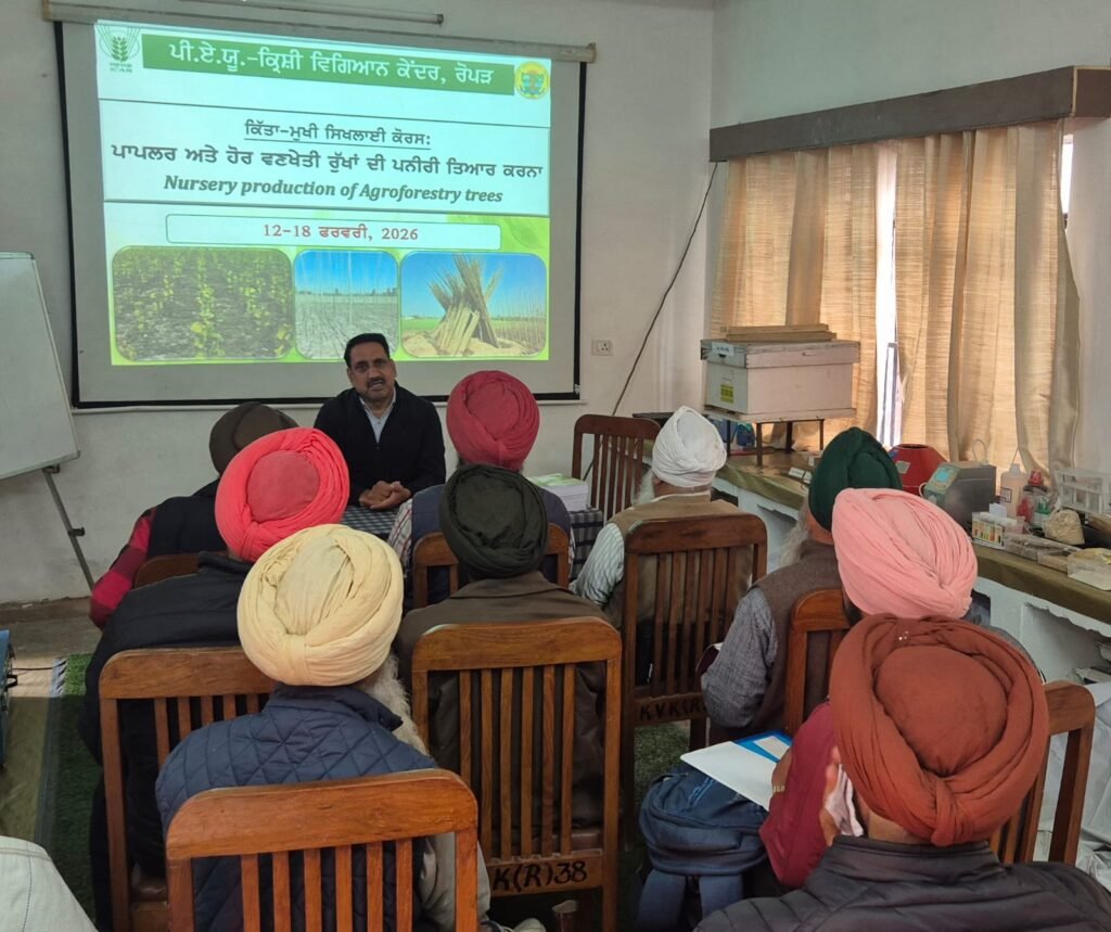 Popular Seedling Production Training Course concludes at Krishi Vigyan Kendra Ropar