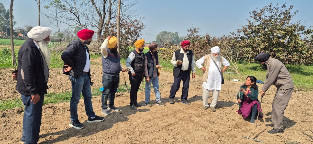 Popular Seedling Production Training Course concludes at Krishi Vigyan Kendra Ropar