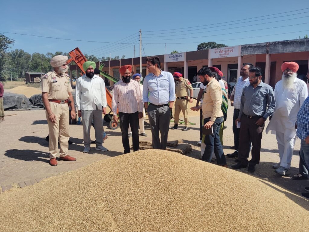 Deputy Commissioner visits grain markets to review arrangements for wheat procurement