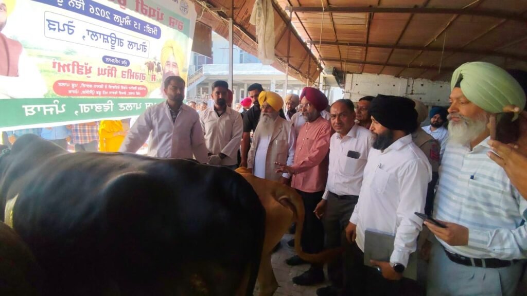 Punjab Government Always Committed to Animal Welfare and Care: Gurmeet Singh Khudian