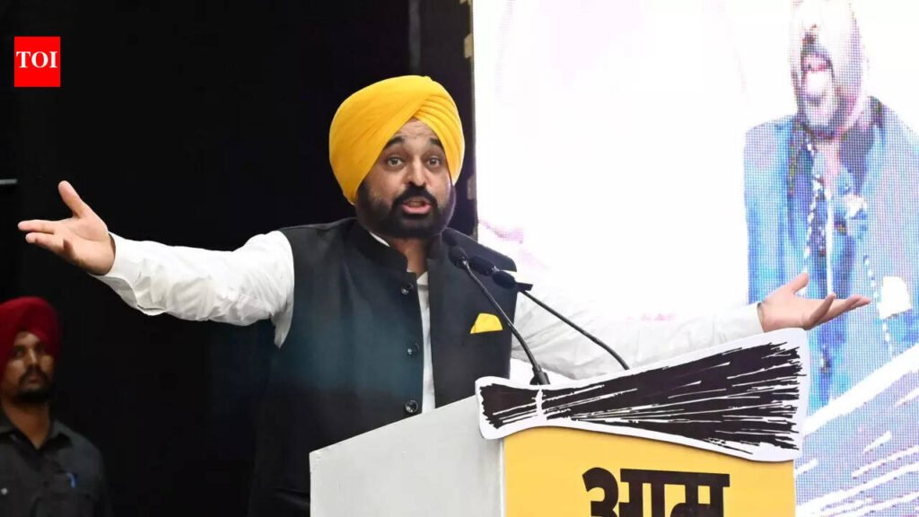 ‘This is Punjab, not scared by threats’: Bhagwant Mann after ED raid on minister | India News
