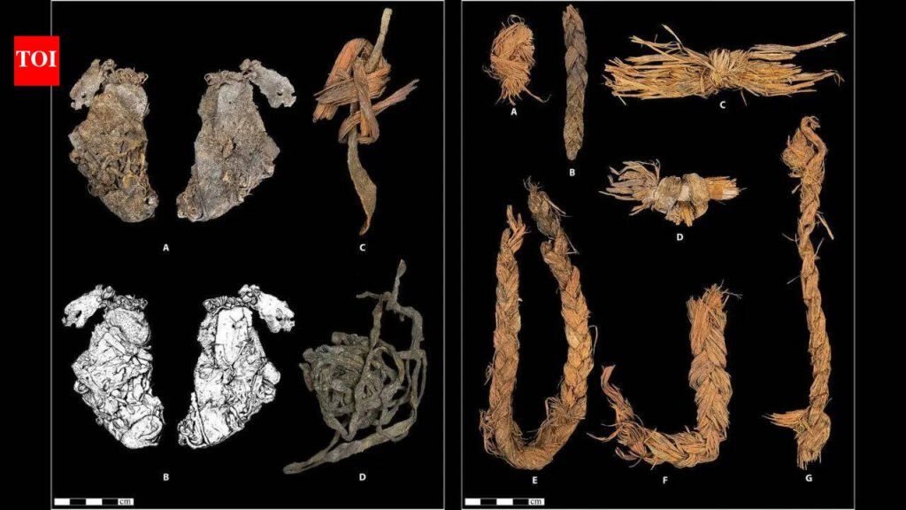 Inside a cave older than Egypt’s pyramids: 12,000-year-old stitched piece of elk hide may be the world’s oldest clothing | World News