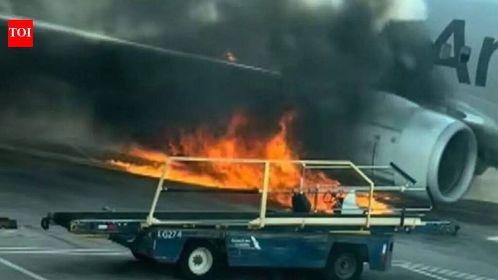 Plane with 231 flyers runs over jaywalker, engine catches fire