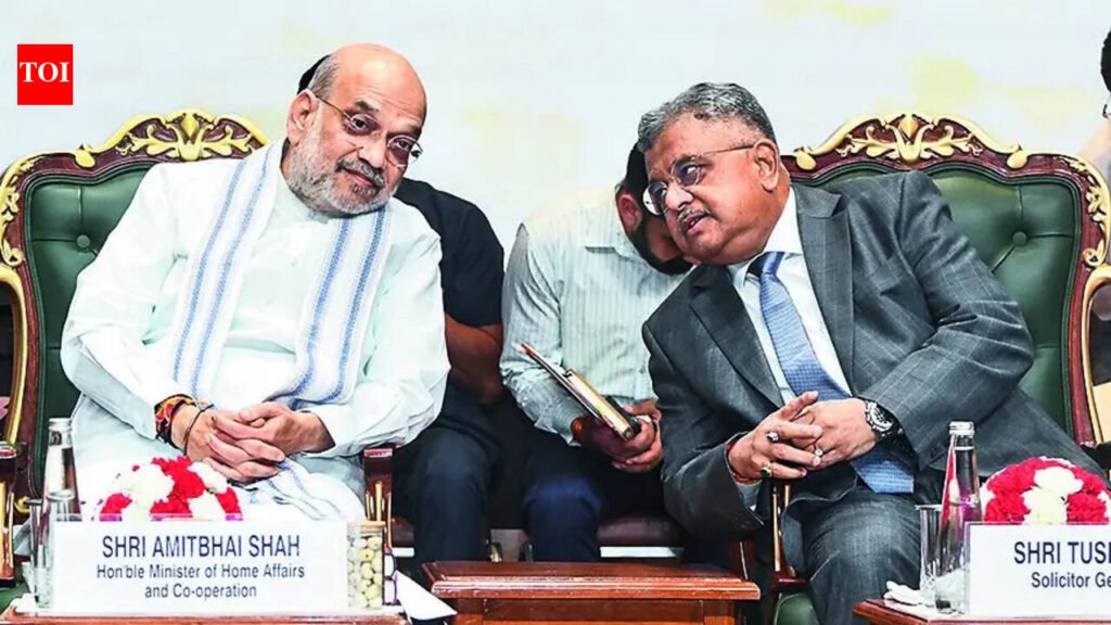 India has ensured democracy deep-rooted: Amit Shah | India News