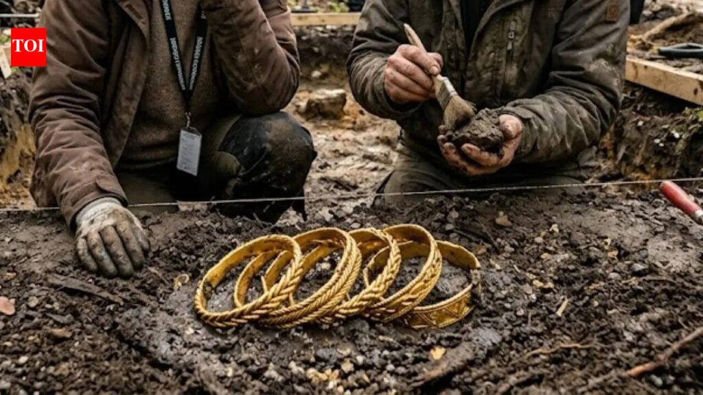 This 1,000-year-old Viking treasure found in Denmark contains nearly pure gold arm rings | World News