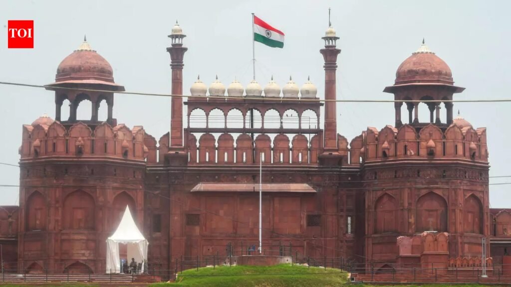 Red Fort blast case: NIA files 7,500-page chargesheet in terror plot, names 10 accused | India News