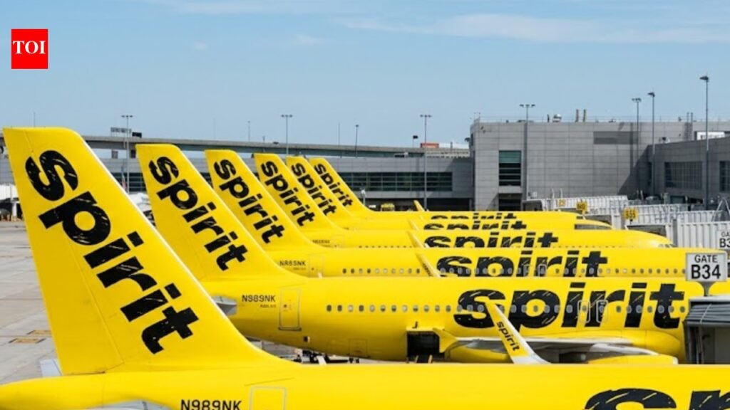 TikTok crowdfunding push to purchase spirit airlines hits $335 million