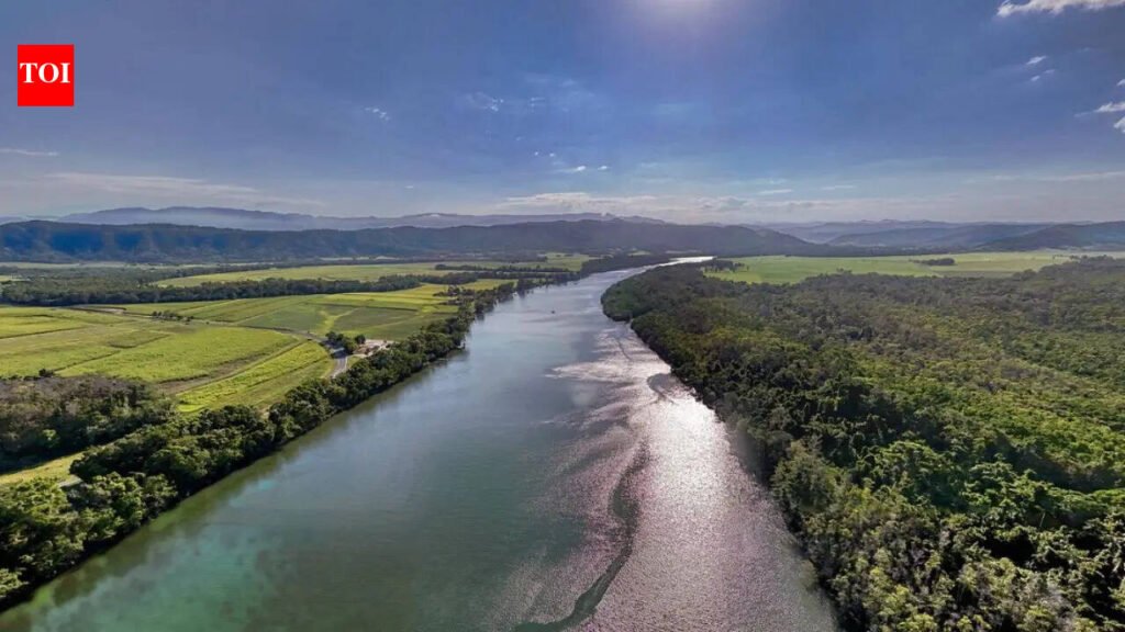 5 snake-filled waters in Queensland surrounded by rainforest and wetlands