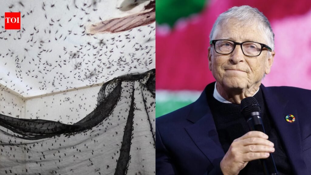 Why a Bill Gates-backed insect factory releases 30 million mosquitoes every week