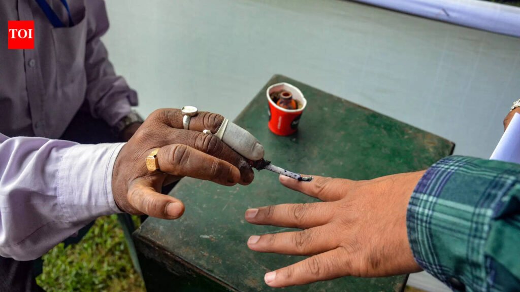 Did foreigners vote in Tamil Nadu polls? ECI orders probe after 10 detained at Chennai and Madurai airports