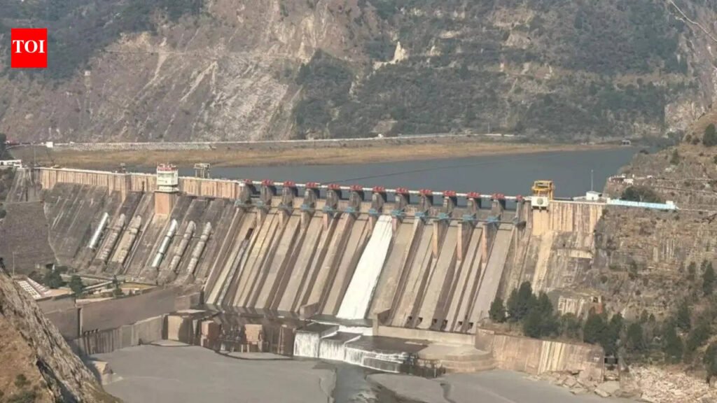 MEA rejects Pakistan-backed Court of Arbitration ruling on Indus Waters Treaty