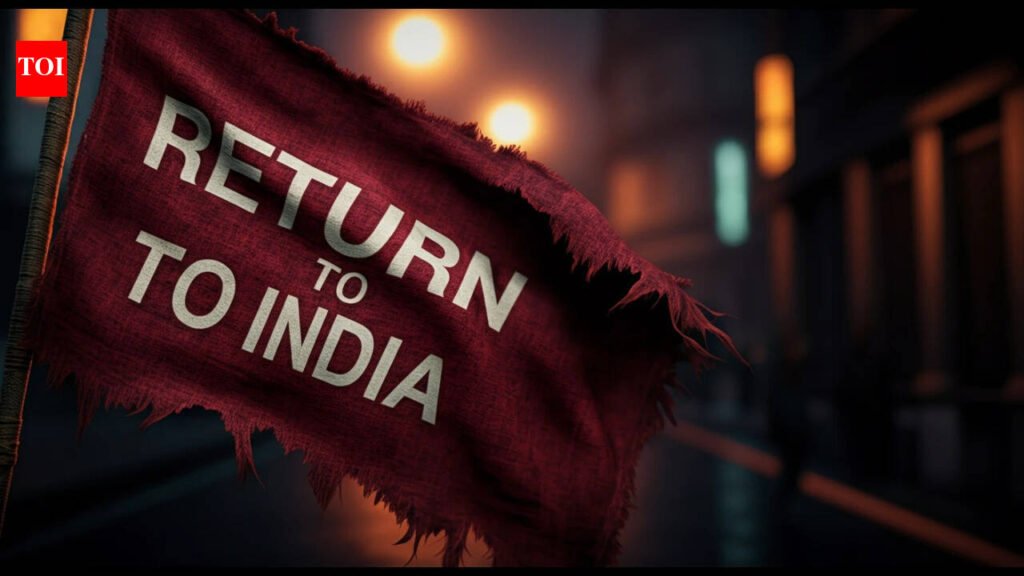 Redditor shares one-year experience of living in India after spending 12 years in US