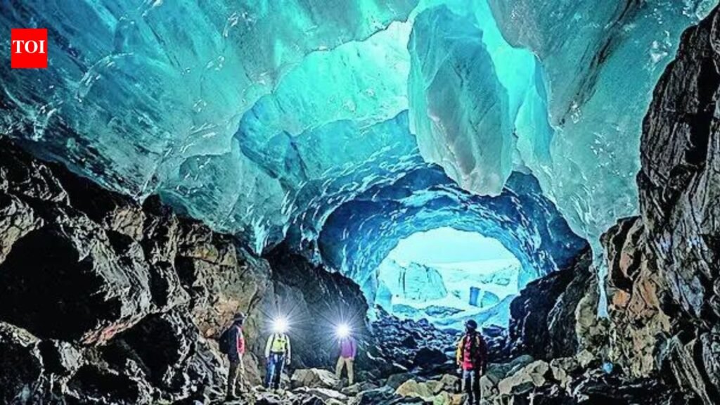 Andhra find reveals India’s lost link to Antarctica