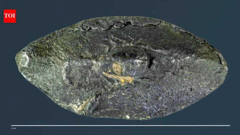 This ancient bullet carried a secret 2,100-year-old Greek word that shocked experts worldwide revealing ‘sarcastic’ war message