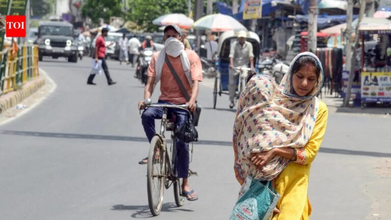 Severe Heatwave Alert: Prepare for Extreme Temperatures in Delhi, UP, Punjab, and Haryana | India News