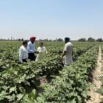 Farmers Receive Technical Guidance on Paddy Seed Treatment and Soil Nutrient Management