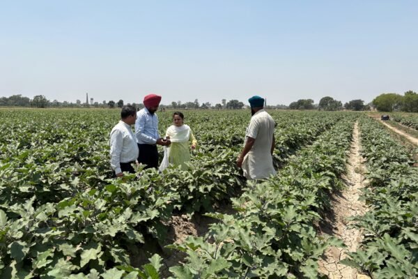 Farmers Receive Technical Guidance on Paddy Seed Treatment and Soil Nutrient Management