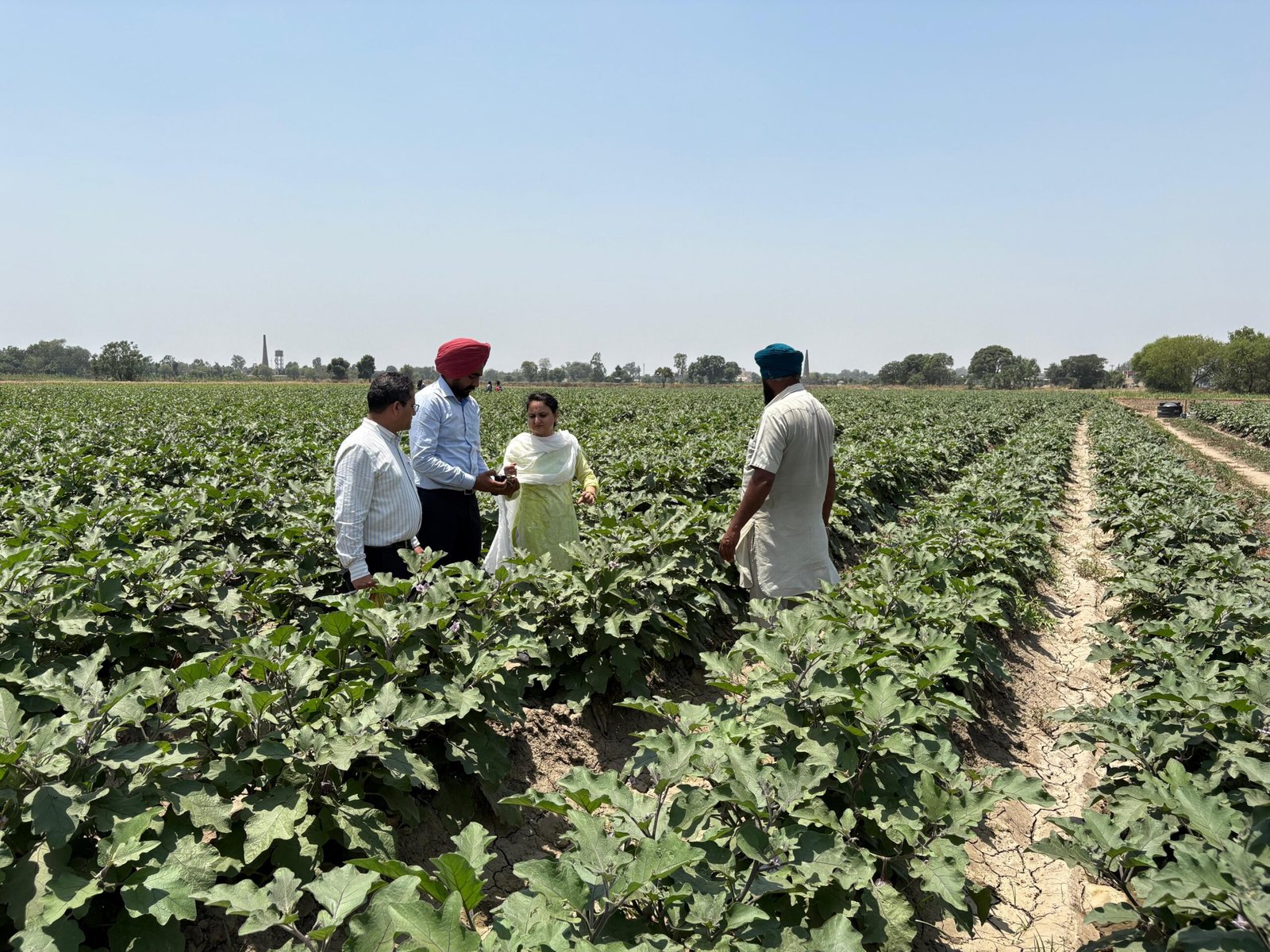 Farmers Receive Technical Guidance on Paddy Seed Treatment and Soil Nutrient Management