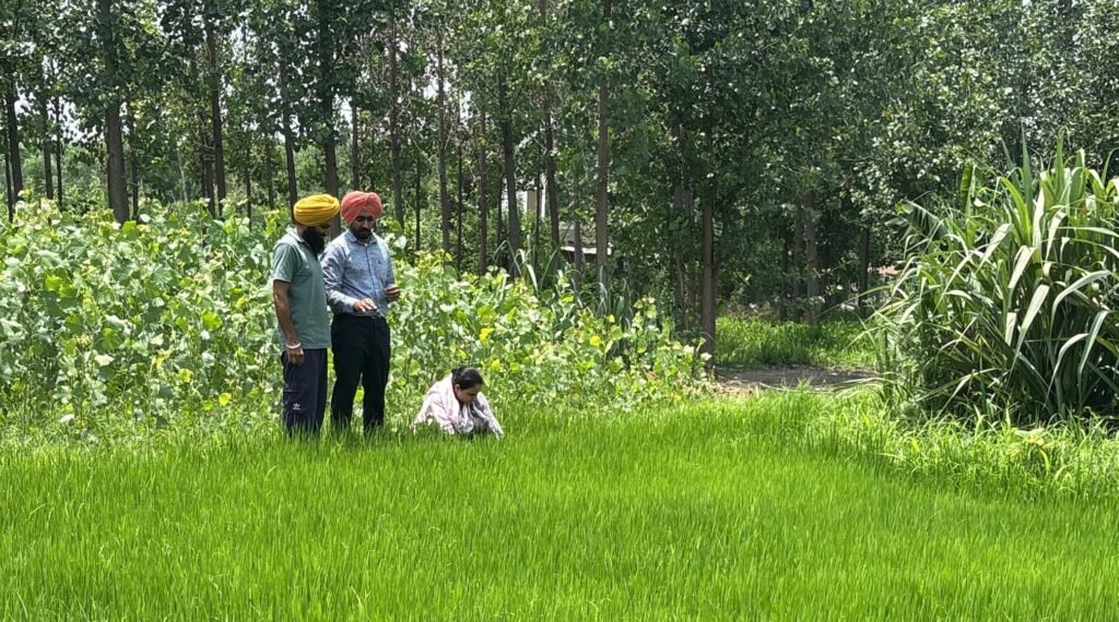 PAU-KVK, Ropar organizes awareness camp on soil health improvement under “Khet Bachao Abhiyan”