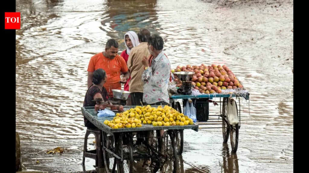 Good El Nino? How a bad monsoon left city drenched | India News