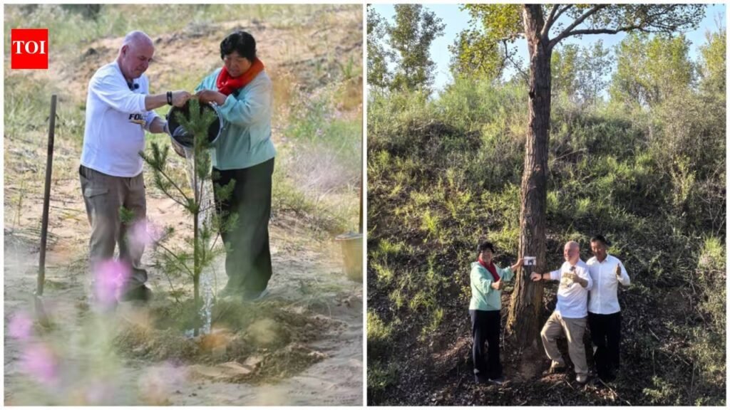 In 1999, Pennsylvania teacher Ronald Sakolsky donated $5,000 to farmer Yin Yuzhen to fund her tree-planting efforts in Inner Mongolia; 27 years later, his contribution helped transform China’s Maowusu Desert into a forest of 50,000 trees