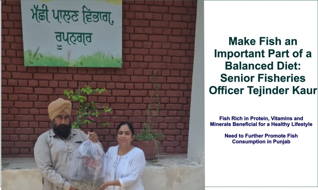 Fish Rich in Protein, Vitamins and Minerals Beneficial for a Healthy Lifestyle Need to Further Promote Fish Consumption in Punjab
